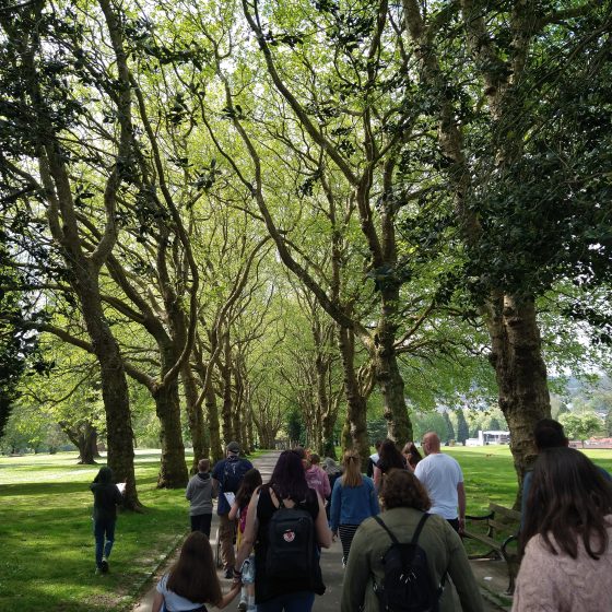 An avenue of trees in a park. The sun shines through the branches and we see a group of adults and children all walking together, facing away from the camera.